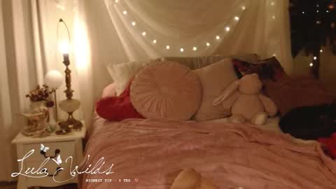 Snapshot of lulawilds chatting on 12/17/25, 03:45 lula wilds online show from 12/17/25, 03:45