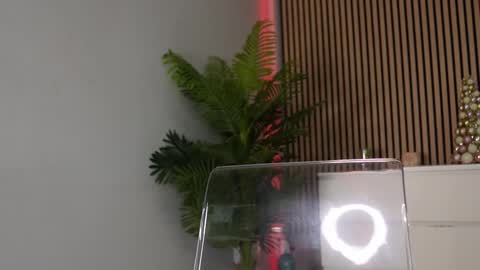 Luna Dior online show from 12/05/25, 06:11