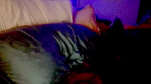 Luna Daddys Girl online show from 11/25/25, 09:20