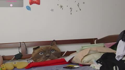 Snapshot of lunamoon_17 chatting on 11/12/25, 06:41 LUNA online show from 11/12/25, 06:41