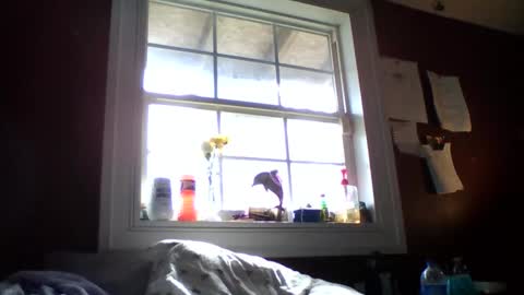 lunasecretadmirer online show from 02/14/26, 07:21