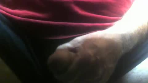 lunatica12 online show from 02/10/26, 04:27