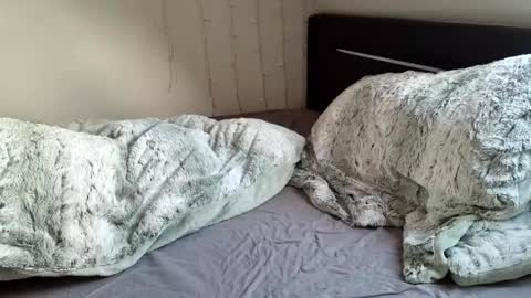 Luna  powered by bitch dust online show from 12/20/24, 11:10