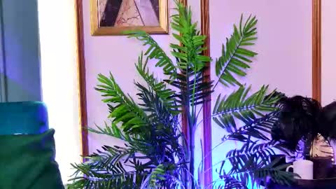 Luna online show from 02/20/26, 06:37