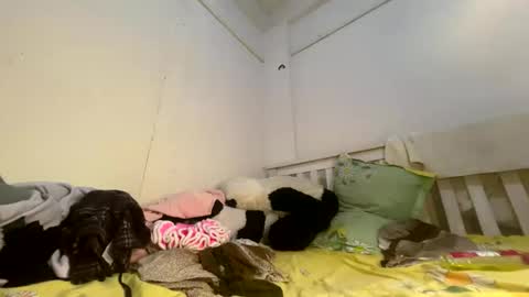 Luscious nita online show from 04/03/26, 07:50