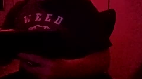 Luv2tokNstrok online show from 11/03/25, 10:49