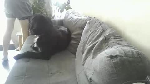 luzardol online show from 03/05/25, 02:56