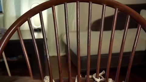 Snapshot of lyle_art chatting on 02/27/25, 06:18 hi im Lyle online show from 02/27/25, 06:18