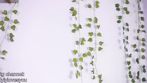 Lyly   online show from 01/17/26, 05:45