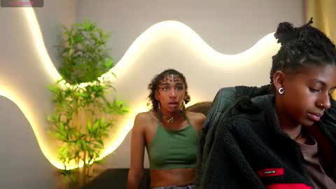 Lynx and Sun  online show from 01/16/26, 08:46