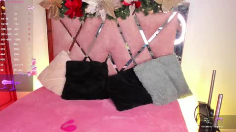 Snapshot of lys_with chatting on 12/13/24, 01:04    VIVIANA    online show from 12/13/24, 01:04