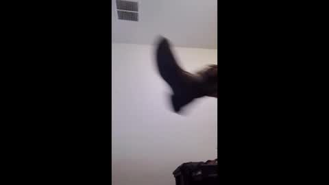 m2tonerfux online show from 04/25/26, 05:21