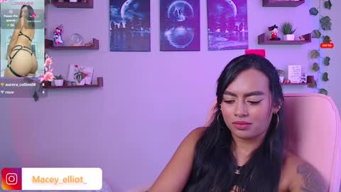 Macey Elliot Modelo Independiente online show from 02/06/25, 03:31