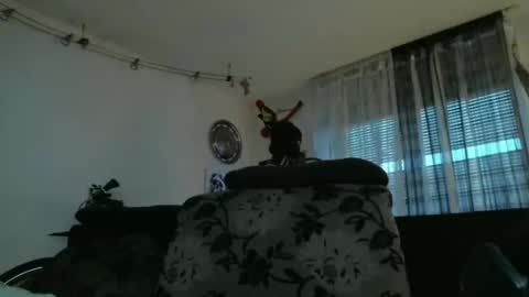 Manuel online show from 12/17/24, 03:39