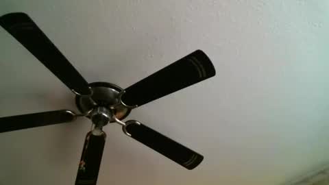 Manuel online show from 01/05/25, 12:31