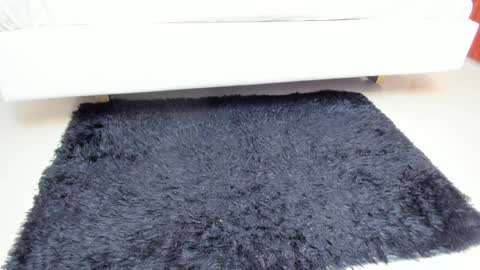 Madame Carla  online show from 04/06/26, 12:06