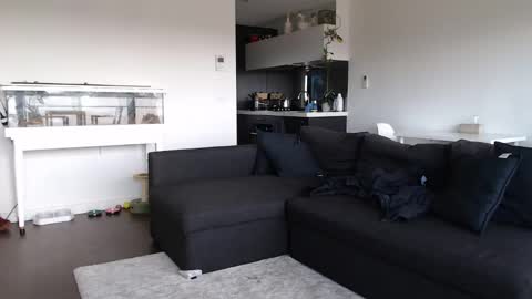 Snapshot of maddiemeekxo chatting on 02/10/25, 02:19 Maddie Meek  online show from 02/10/25, 02:19