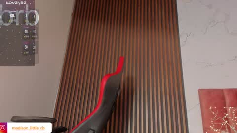 Snapshot of madison_little chatting on 01/31/25, 04:06 Melissa     700  1400 -5 online show from 01/31/25, 04:06