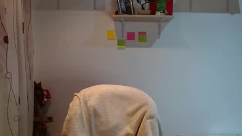 Madison Cambel online show from 02/12/25, 03:40