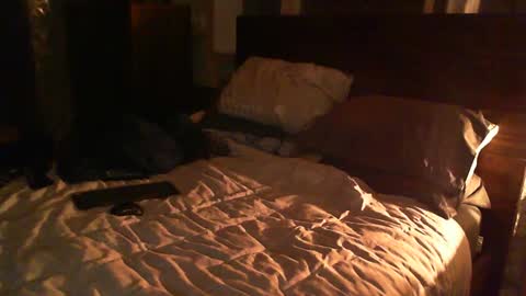 Guigui online show from 02/26/25, 12:38