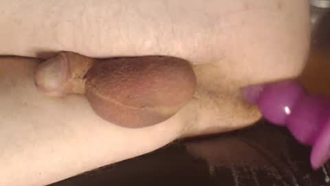 maestro2017 online show from 03/07/25, 11:49