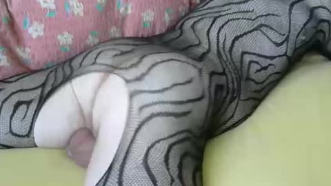 maestro2017 online show from 04/06/26, 06:47