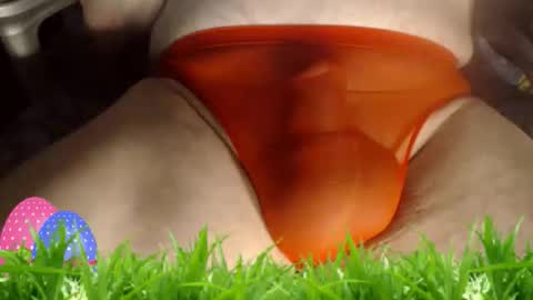 maestro2017 online show from 04/09/26, 09:42