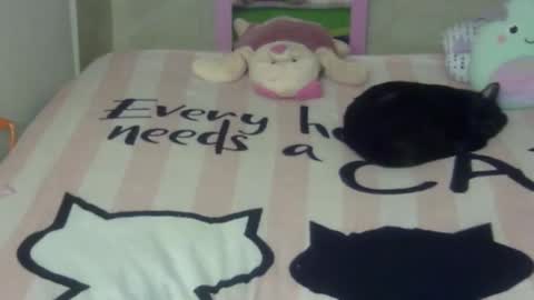 maferchavez88 online show from 02/22/26, 10:19