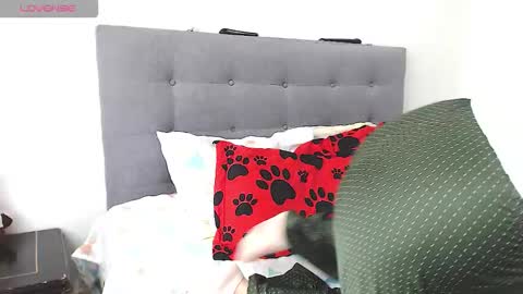 magic_stephany__ online show from 02/04/26, 01:28