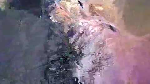 maho0 online show from 12/13/24, 07:36