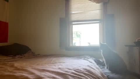 Snapshot of mainecollegeboy chatting on 02/26/25, 01:19 mainecollegeboy online show from 02/26/25, 01:19