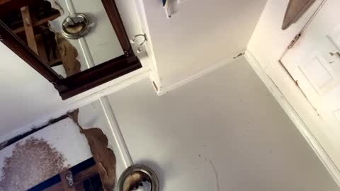 Snapshot of mainecollegeboy chatting on 09/15/25, 03:34 mainecollegeboy online show from 09/15/25, 03:34