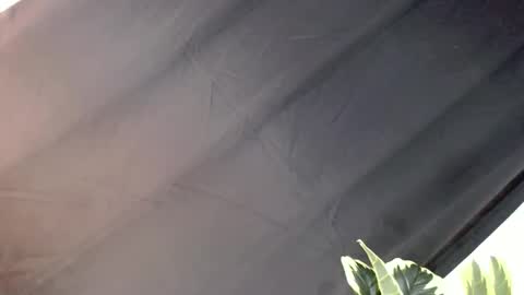 majesticcock_kyla online show from 10/22/25, 12:16