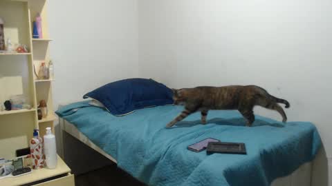 MAKENNAA online show from 03/12/25, 09:12