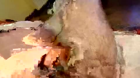 mako998843 online show from 02/15/26, 07:32