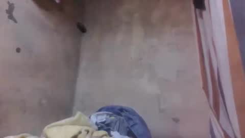 malalazah online show from 03/08/26, 06:06