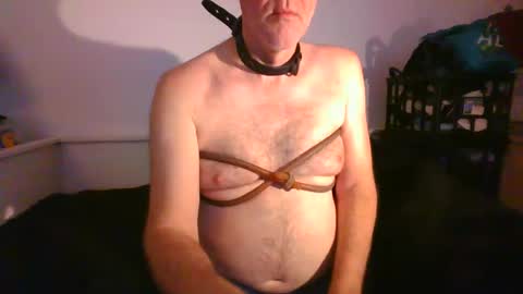 CommandbondageNipples bondage kink submissive lovense slave wgear. modequiethvyBondage If Password goldfish online show from 01/29/25, 09:12