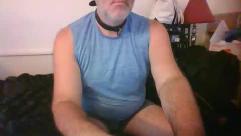 CommandbondageNipples bondage kink submissive lovense slave wgear. modequiethvyBondage If Password goldfish online show from 11/05/25, 11:49