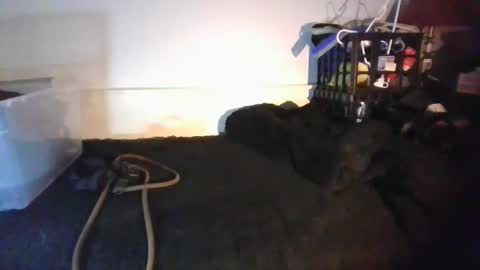 CommandbondageNipples bondage kink submissive lovense slave wgear. modequiethvyBondage If Password goldfish online show from 01/18/26, 08:18