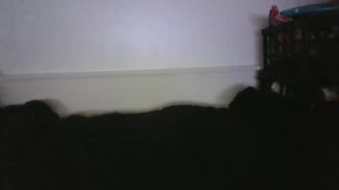 CommandbondageNipples bondage kink submissive lovense slave wgear. modequiethvyBondage If Password goldfish online show from 02/26/26, 04:00