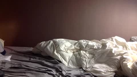 malefrench1 online show from 02/17/26, 05:26