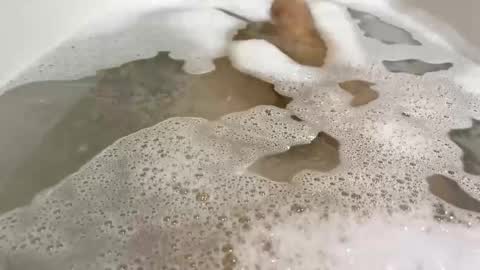 Snapshot of malekula1 chatting on 11/10/25, 09:03 Monad online show from 11/10/25, 09:03