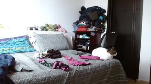 Malita online show from 04/06/26, 04:19