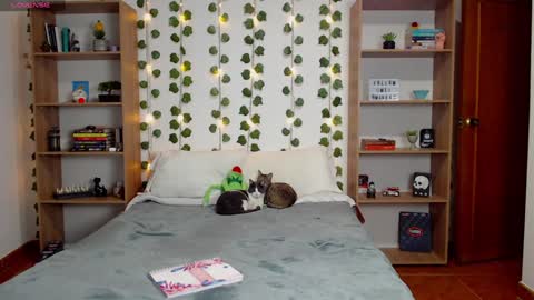 Danny online show from 01/24/25, 03:32