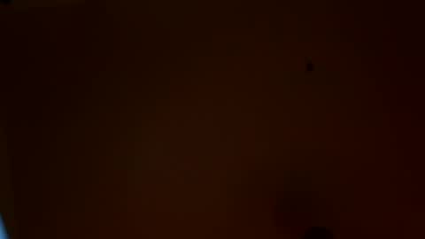 Snapshot of maniak_paraphiliacz chatting on 07/22/26, 03:20 Jan and Man online show from 07/22/26, 03:20