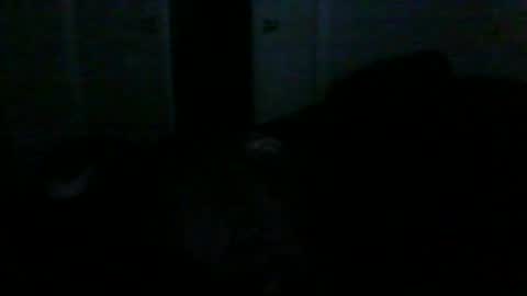 Snapshot of manpntheprowll chatting on 01/15/26, 11:08 manontheprowll online show from 01/15/26, 11:08