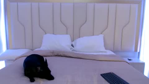 Snapshot of mara_sex chatting on 06/11/26, 11:08 pao online show from 06/11/26, 11:08