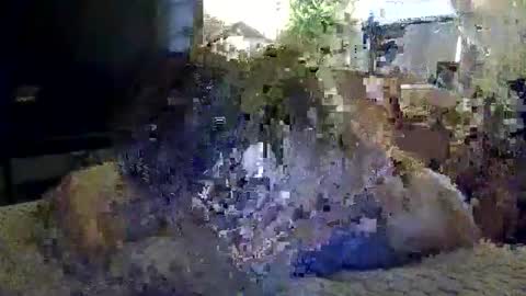 Marc online show from 05/09/26, 10:42