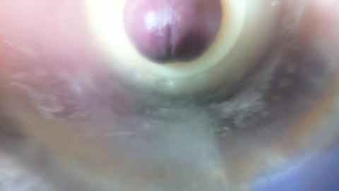 Marc online show from 02/06/26, 11:41