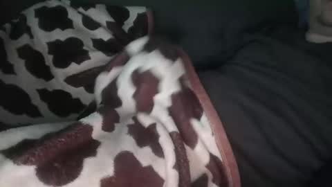 marek online show from 11/14/25, 12:48